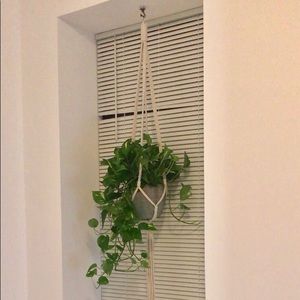 LIKE NEW CB2 HANGING PLANTER VASE INCLUDED